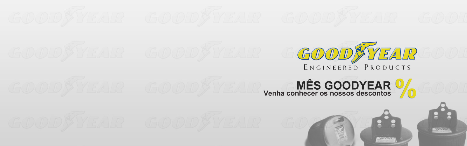 PRODUTOS DO MÊS M5
